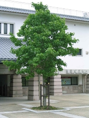 misaki0407-04.jpg