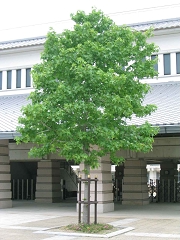 misaki0407-07.jpg
