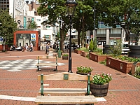 DSC02531.jpg