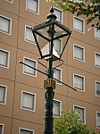 DSC02549.jpg