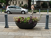 DSC02919.jpg
